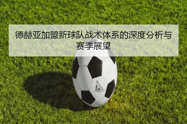 德赫亚加盟新球队战术体系的深度分析与赛季展望